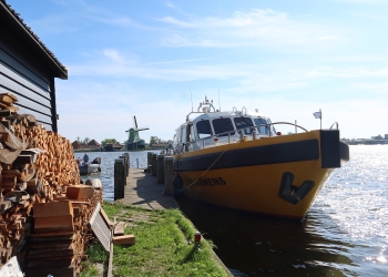 Denise 182